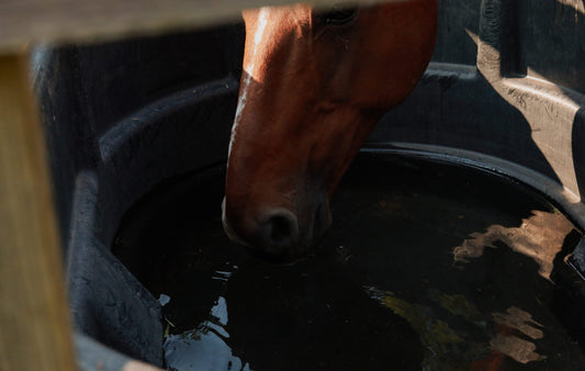 How to Keep water buckets from freezing