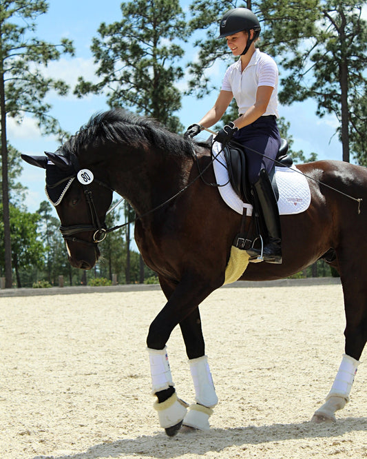 Alexis Cwik training a black horse in an outdoor arena, showcasing rising talent in competitive dressage