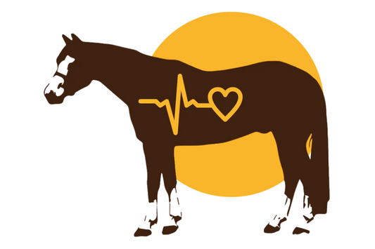Prevent Impaction Colic in Horses