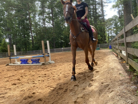 Rider on a chestnut horse in an outdoor arena, preparing for a jump training session