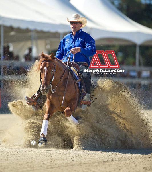 Sponsored rider Martin Muehlstaetter performing a reining slide on a chestnut horse during a competition, showcasing expert horsemanship and western riding skills