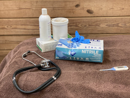Equine First Aid Kit