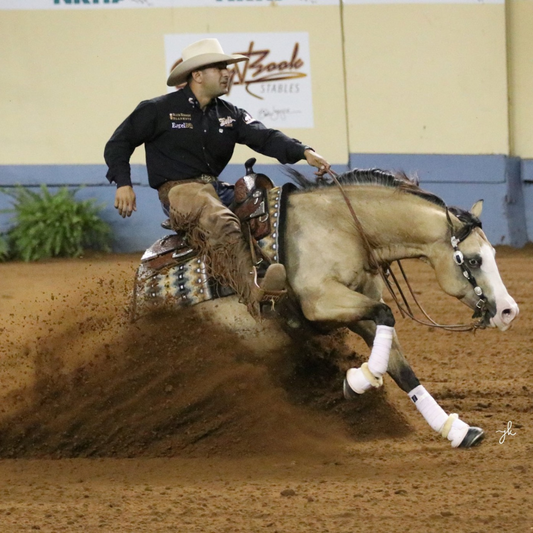 Chuy Chavez Reining