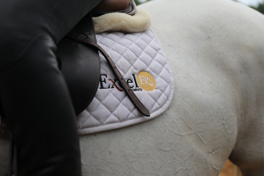 Does my horse have stomach ulcers?