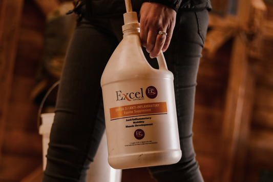 Equine GI Health Gut Health in Horses: Camelina Oil Omega Benefits