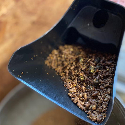 grain for horses