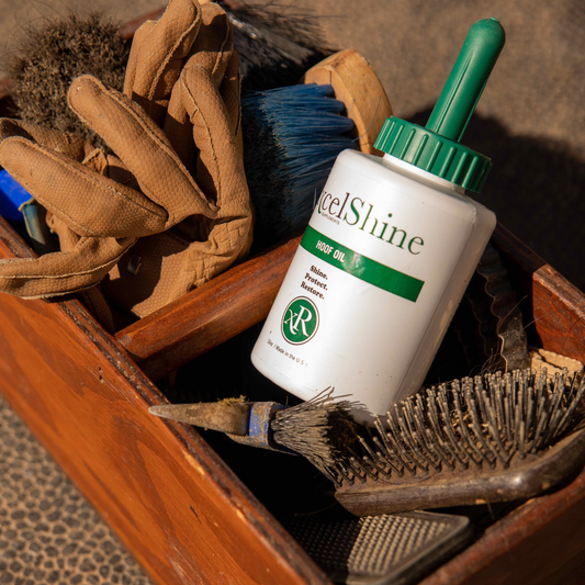 grooming box necessities