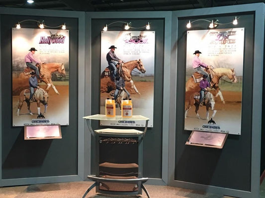 Horse show set up