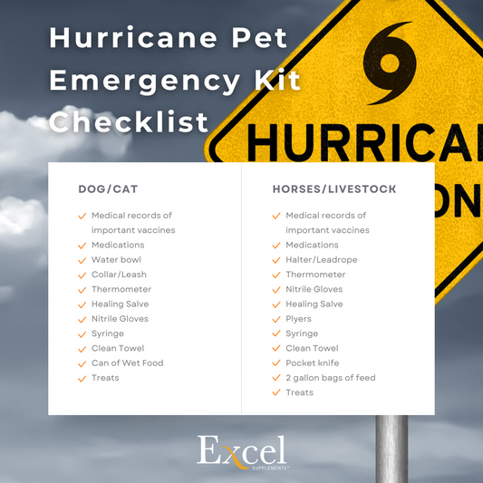 Hurricane Emergency Checklist