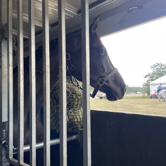 Checklist for Trailering Horse