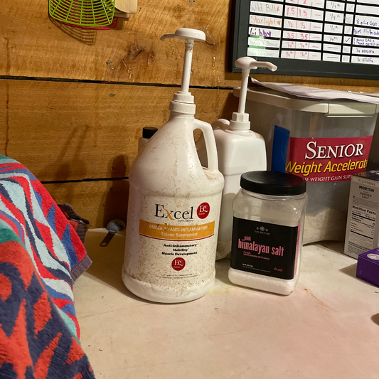 Excel EQ supplement bottle in a horse stable, promoting equine nutrition and health supplements