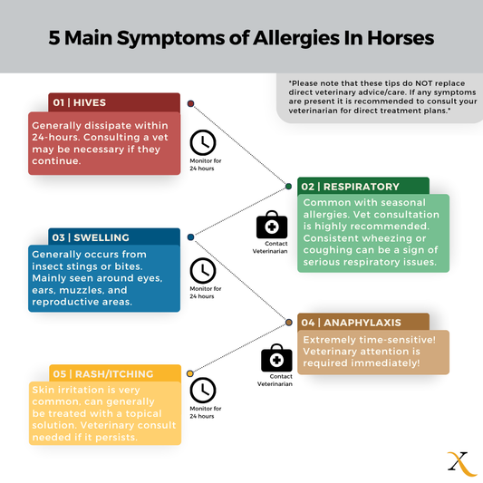 allergies in horses