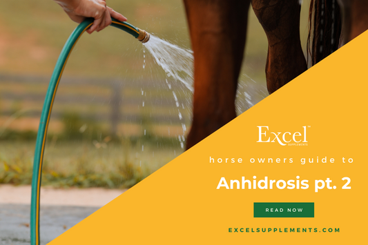 Anhidrosis diagnosis and treatment