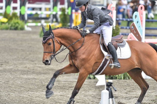 Rider and horse mid-course during a show jumping competition, highlighting their focus and determination.