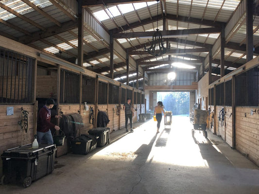 Sunlight streaming into a horse barn with stable workers preparing for the day, showcasing horse care and stable management