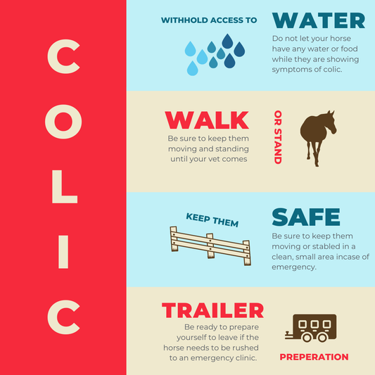 colic in horse