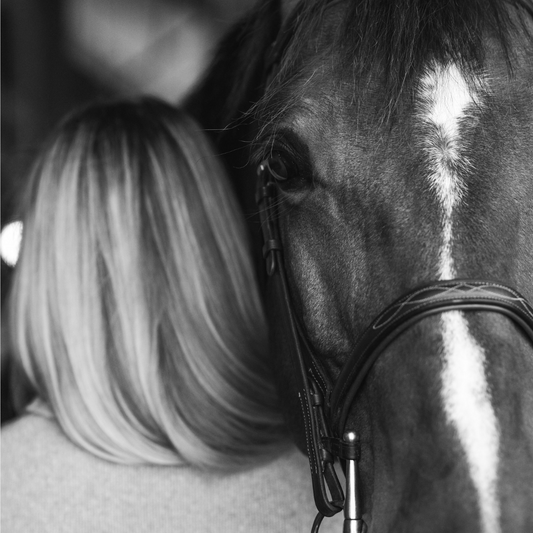 Understanding the Costs of Owning a Horse: A Comprehensive Guide