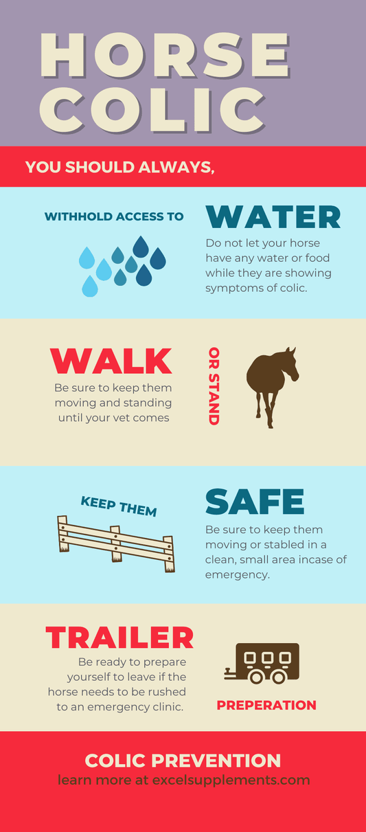 nfographic on horse colic prevention tips including withholding water, walking, keeping the horse safe, and preparing a trailer for emergencies
