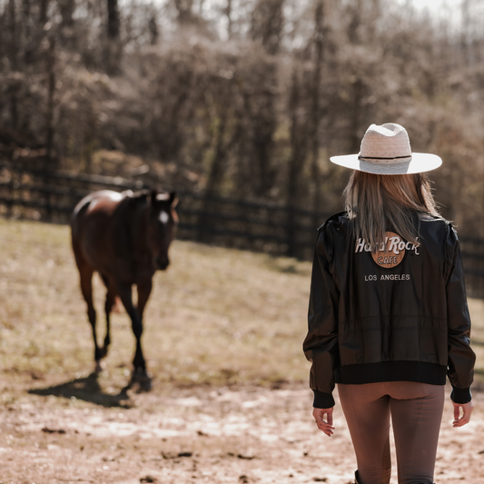 Leasing a Horse 101: Types, Benefits, and Tips for Success