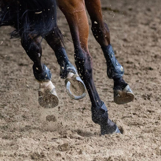 horse moving with protective boots on