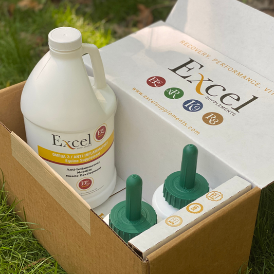 hoof health in horses