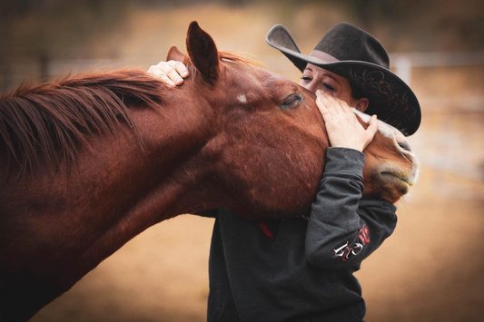 Owning a Horse