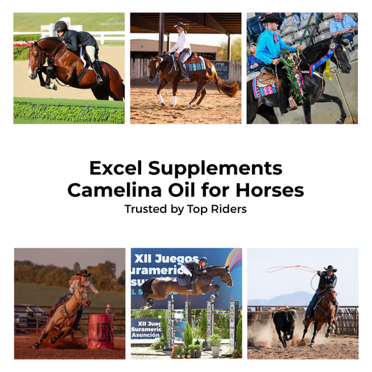 Camelina Oil Trusted By Top Riders