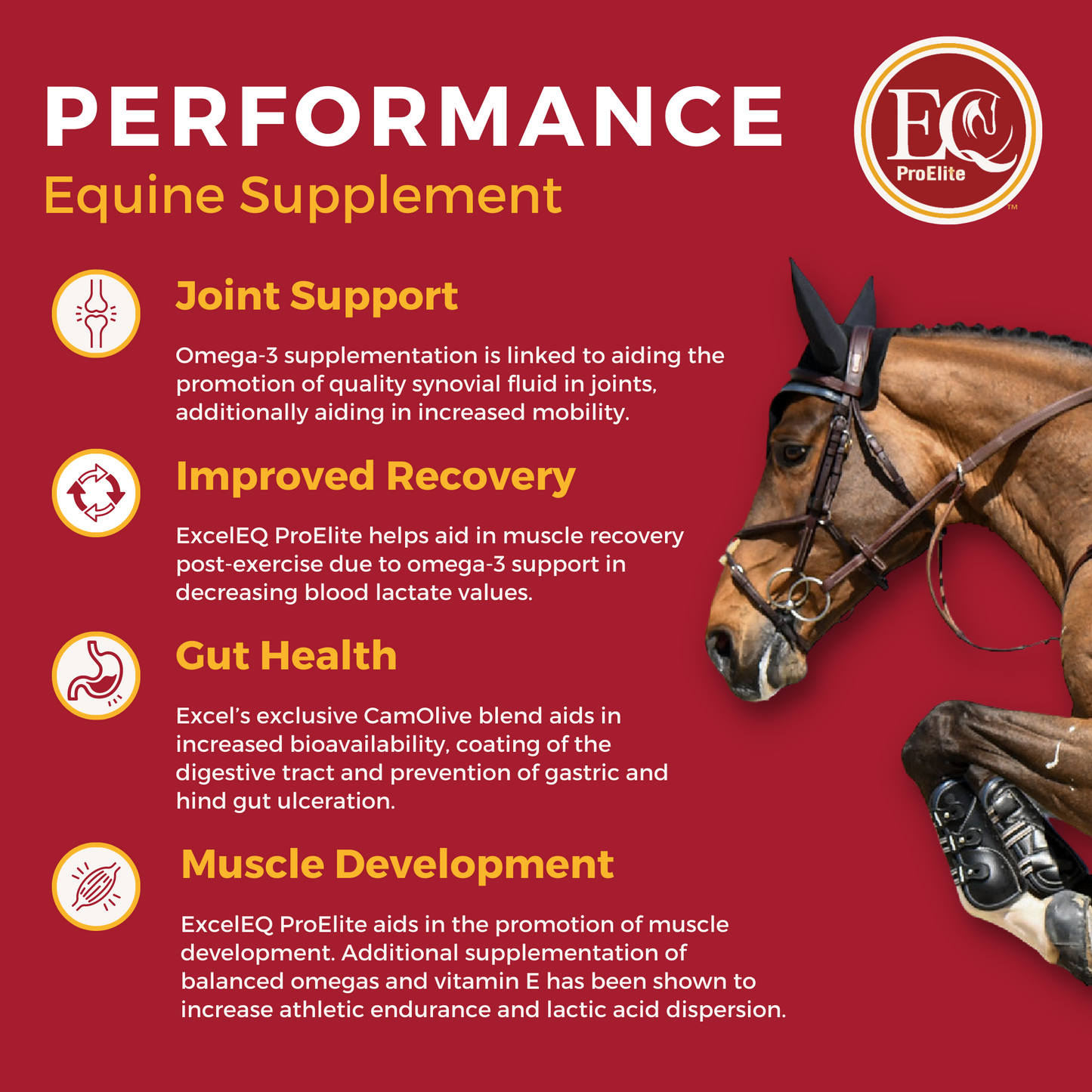 ExcelEQ ProElite Performance Equine Supplement Benefits