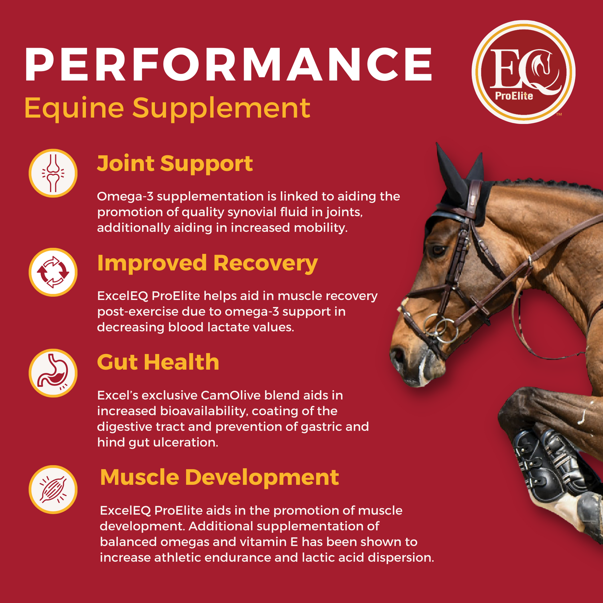ExcelEQ ProElite Performance Equine Supplement Benefits