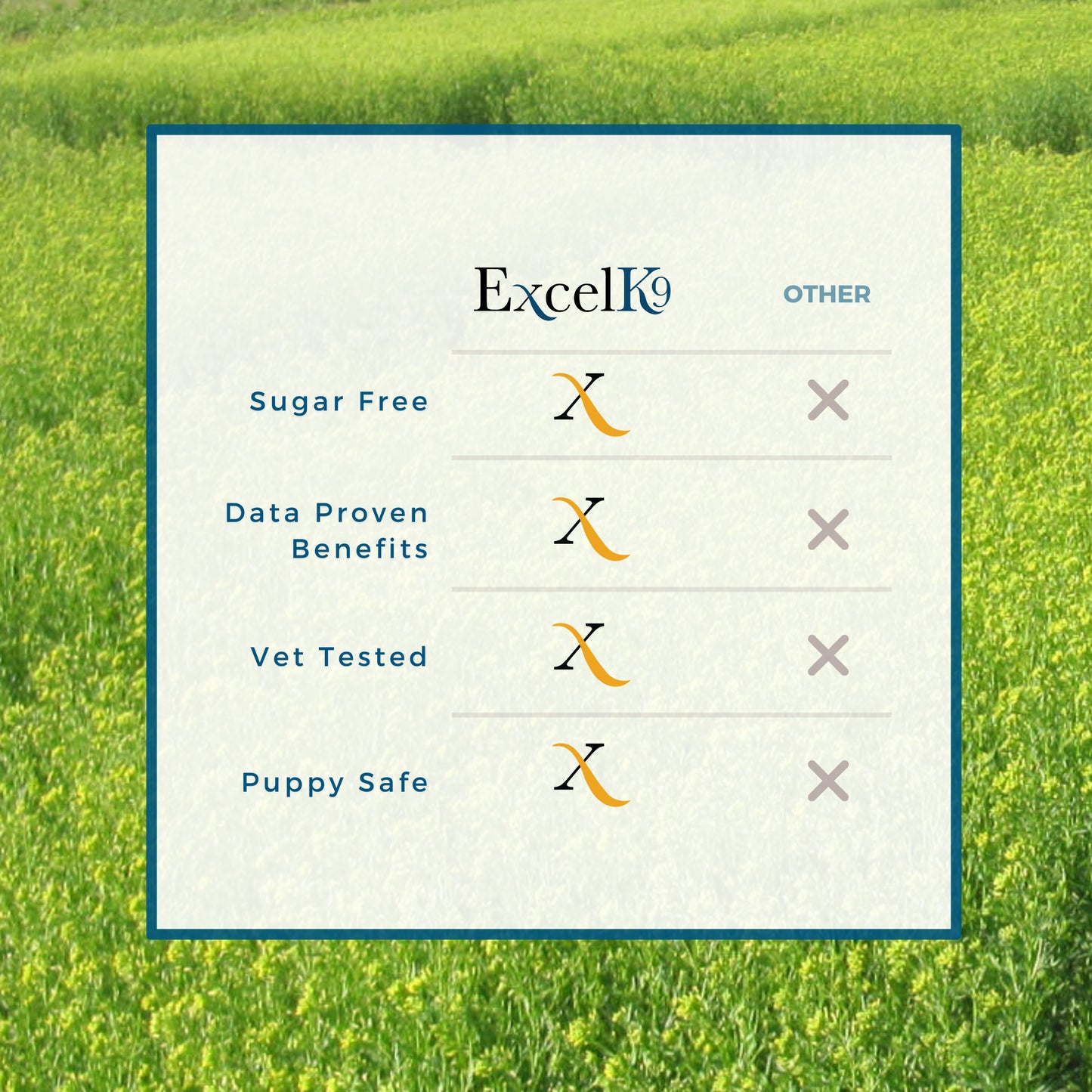ExcelK9™ Sugar Free, Data proven benefits, Vet tested, puppy safe