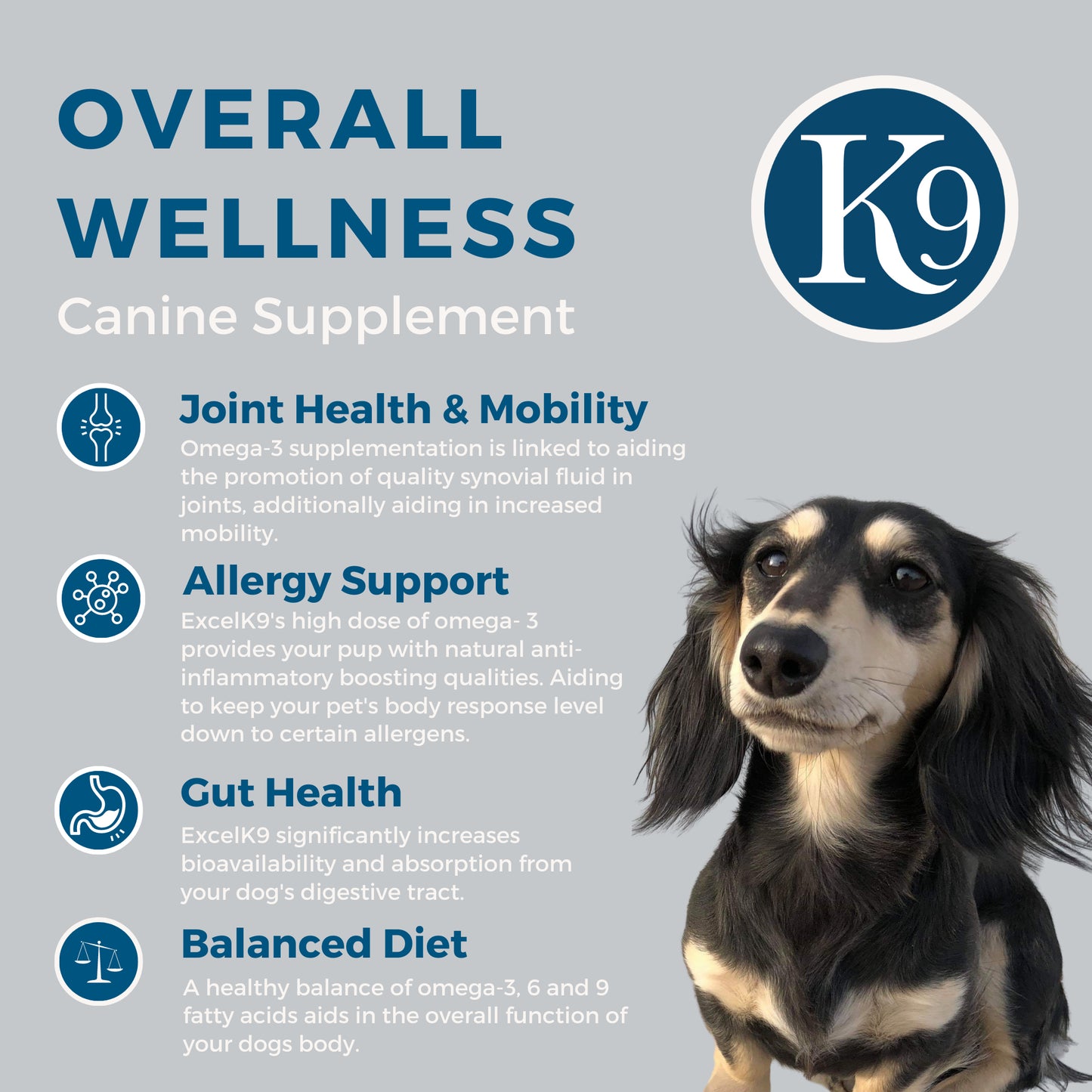 ExcelK9™ Overall Wellness Benefits Valentines Day Special