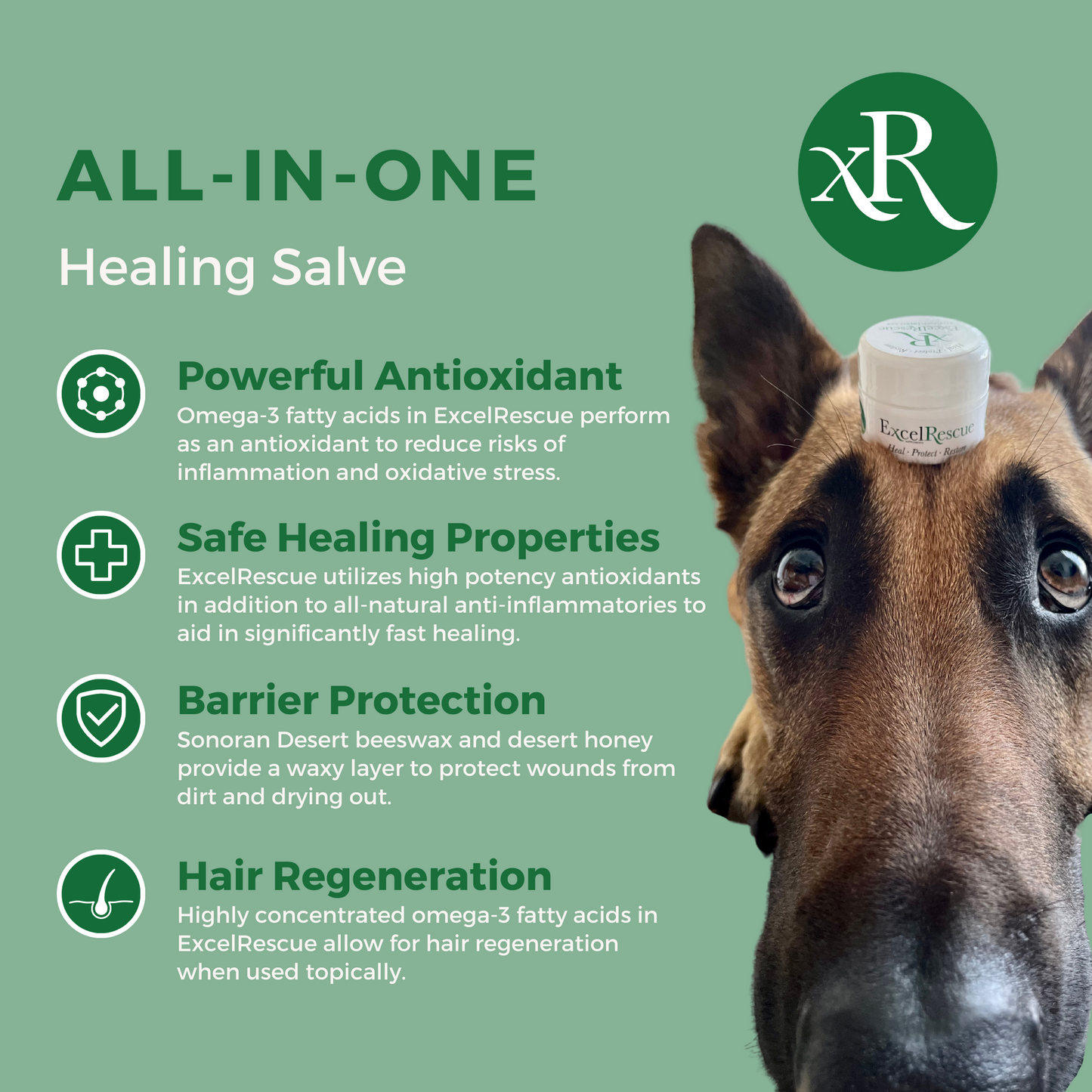 All in One Healing Salve