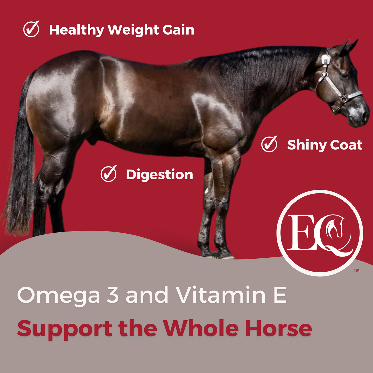 Promotional image for ExcelEQ Equine Supplement showing a side view of a dark brown horse with a shiny coat against a red background. The text highlights the benefits of the supplement, including healthy weight gain, improved digestion, and a shiny coat. The lower part of the image features the message "Omega 3 and Vitamin E Support the Whole Horse" along with the ExcelEQ logo.