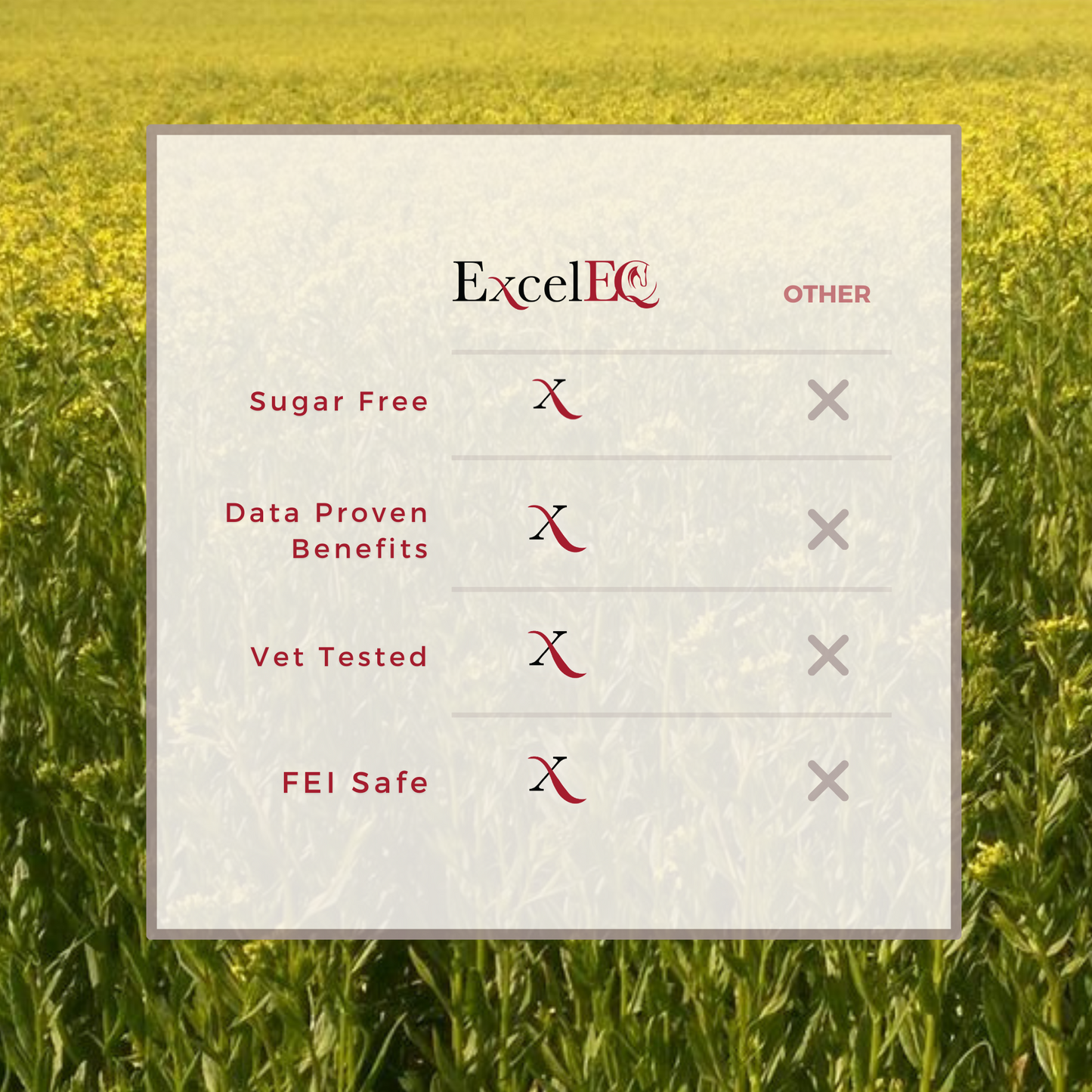 ExcelEQ Equine Wellness Supplement