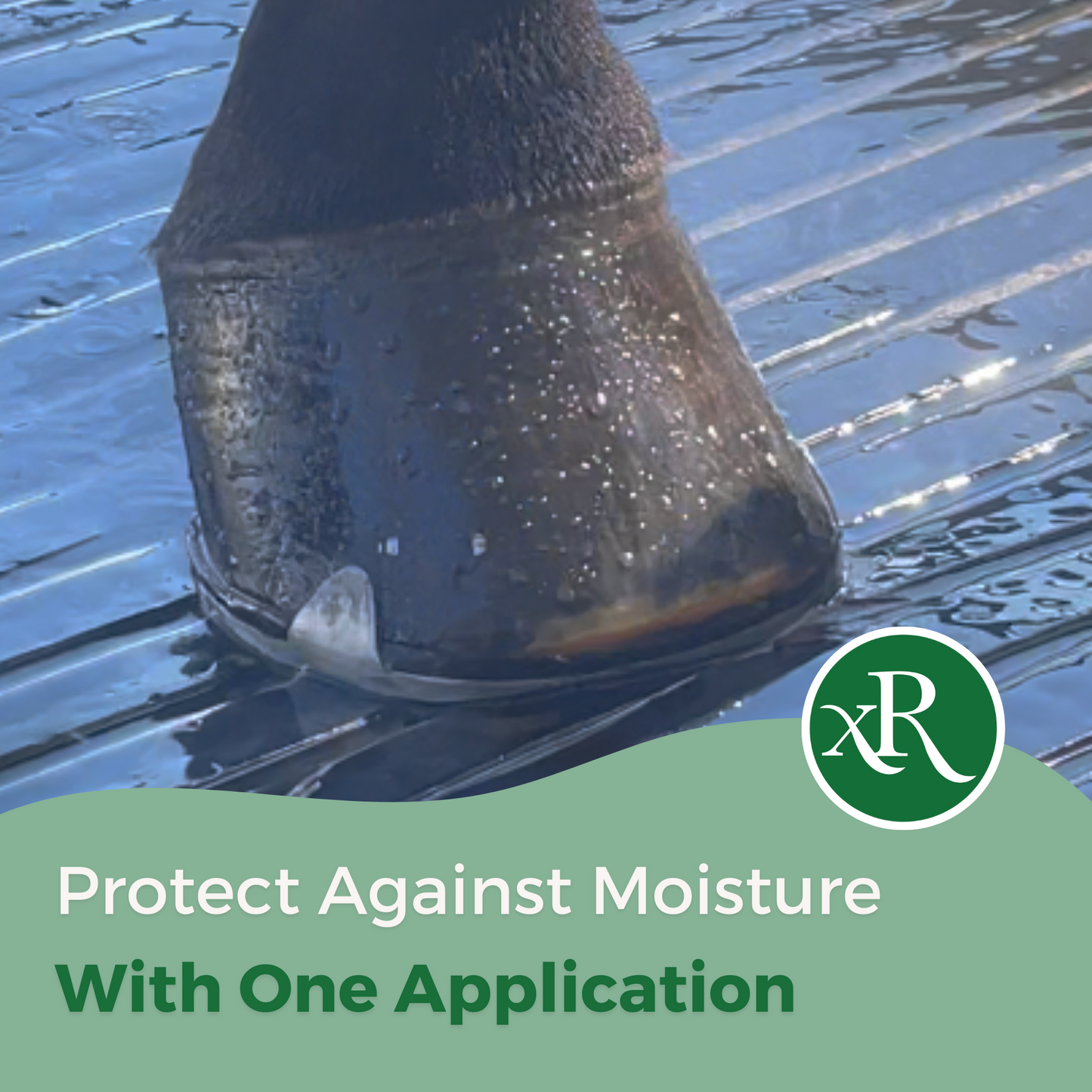 Protect against moisture with just one application
