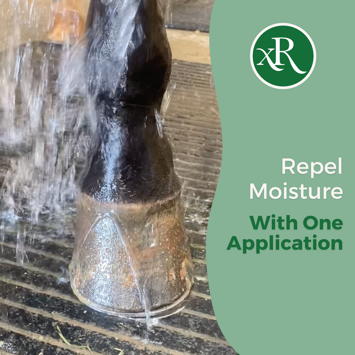 ExcelRescue Natural Equine Hoof Support repels moisture