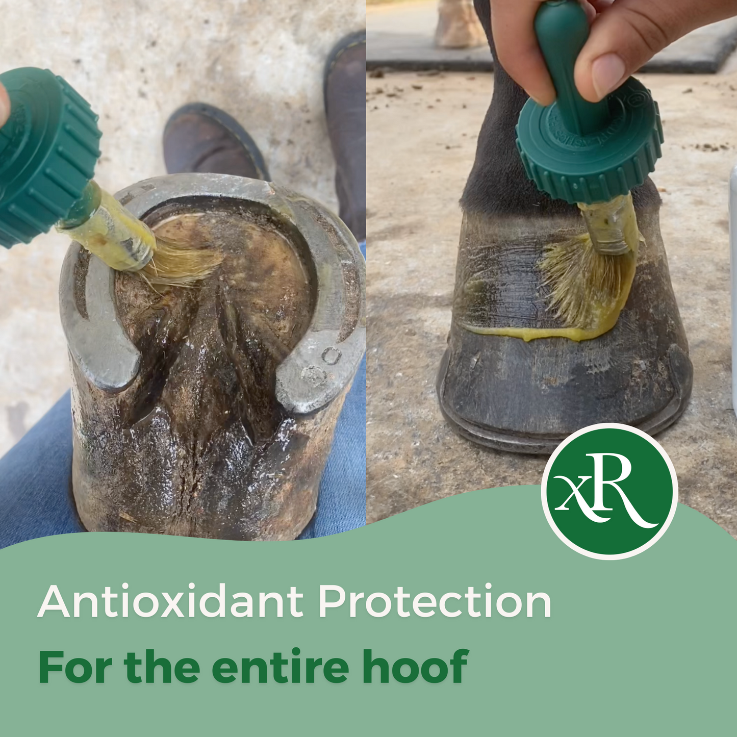 How to use our Natural Equine Hoof Support