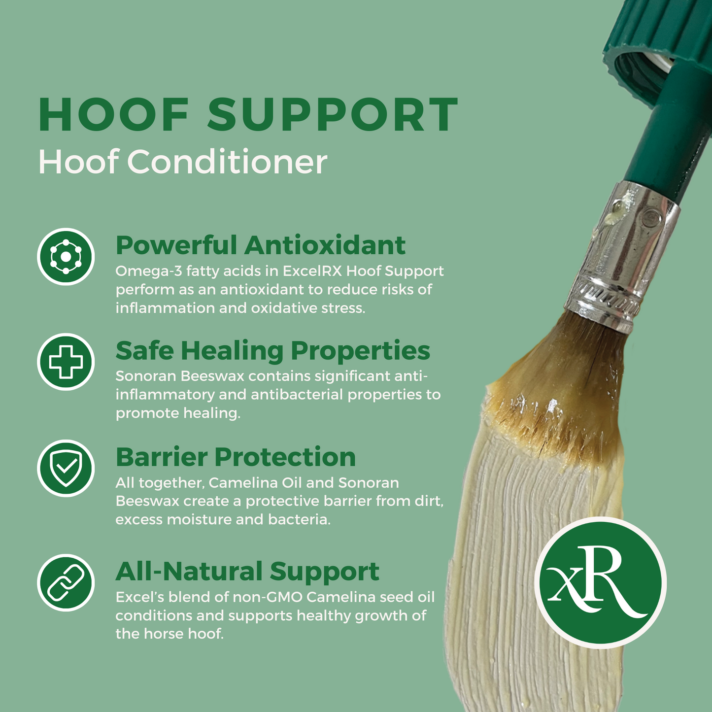 Natural Equine Hoof Support overview for hoof health for your performance horses
