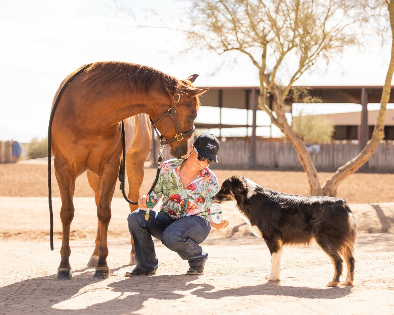 Owner with horse and dog using excel supplements