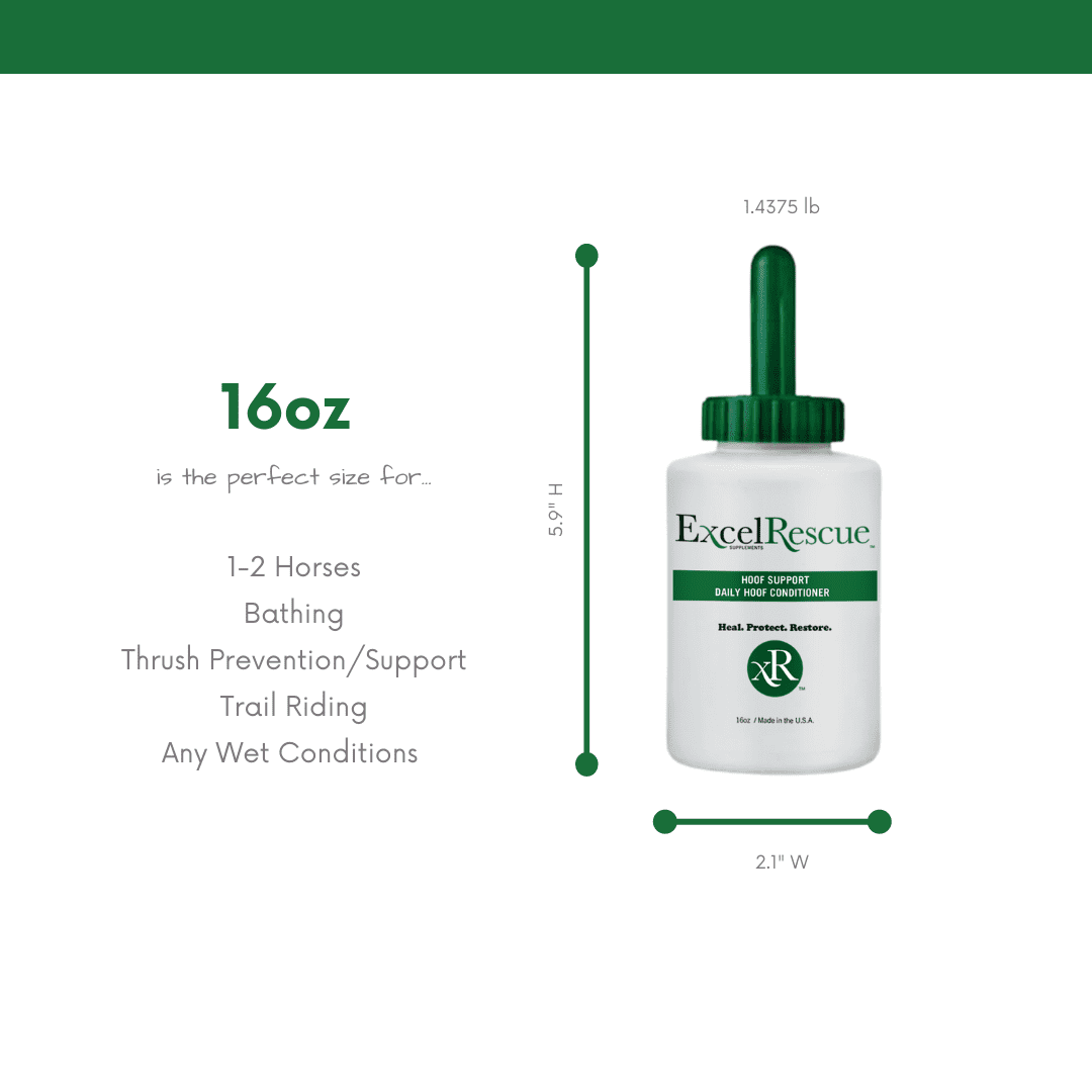 Natural Equine Hoof Support Bottle size