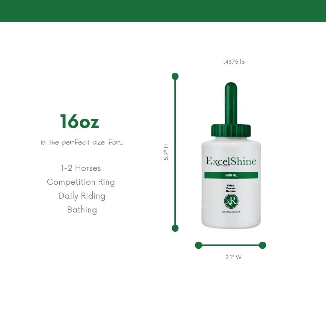 Hoof Oil for Competition Ring, Daily Riding, and Bathing