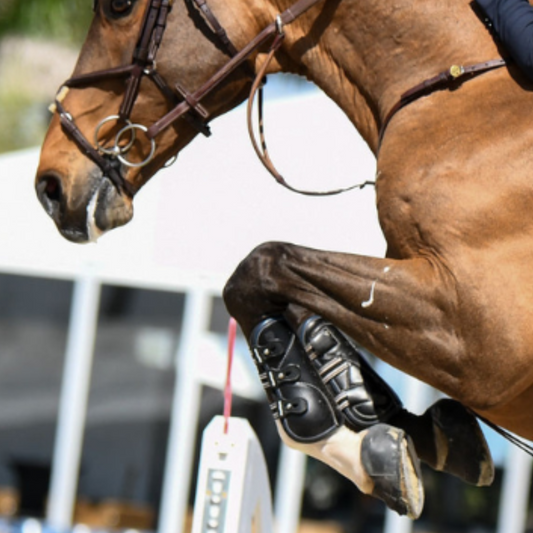 Close-up of a horse's front legs and head mid-jump during a showjumping event, showcasing precise form and focus.