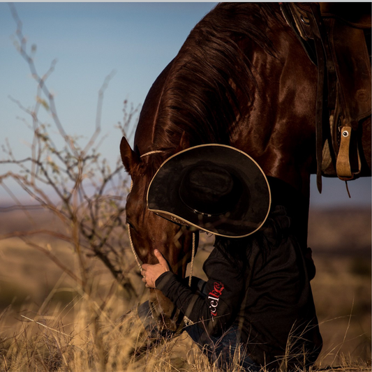 How to create a balanced diet for your horse