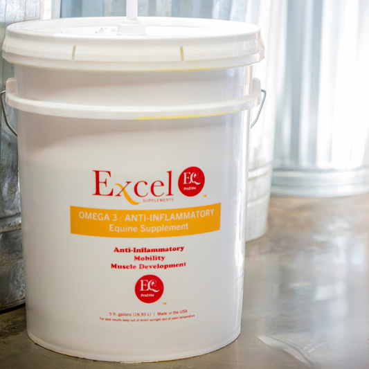 Benefits of camelina oil 