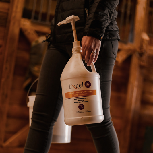 Camelina oil for equine gut health