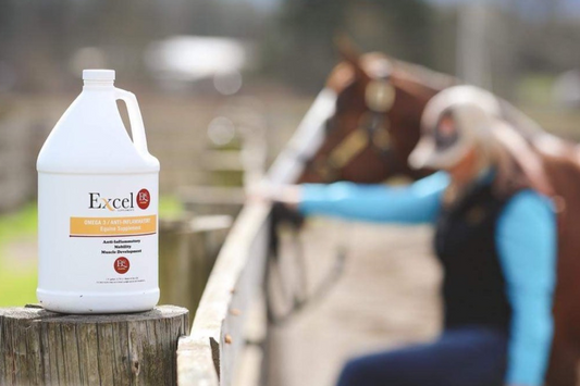 Excel Camelina Oil: The Most Powerful Omega Supplement For Horses