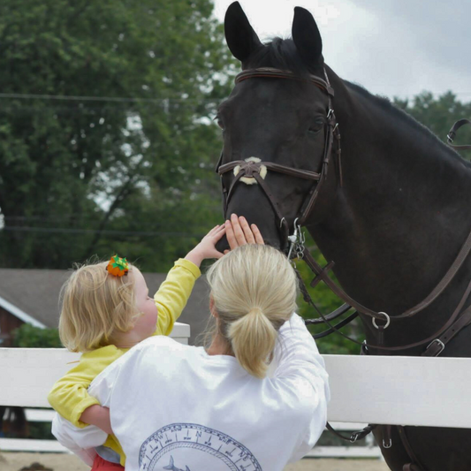 Kid meeting horse