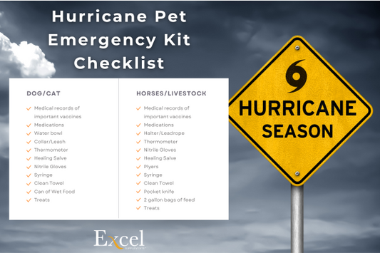 Hurricane Pet Checklist