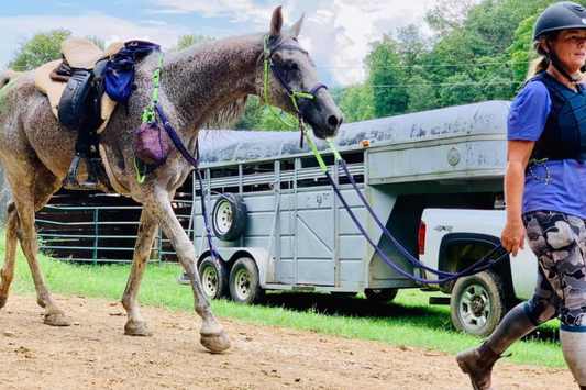 Do lactate values affect my horses performance?
