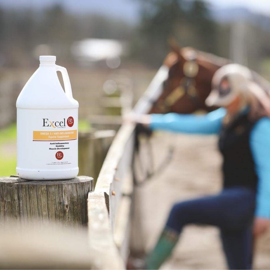 Camelina Oil Supplement for Horses